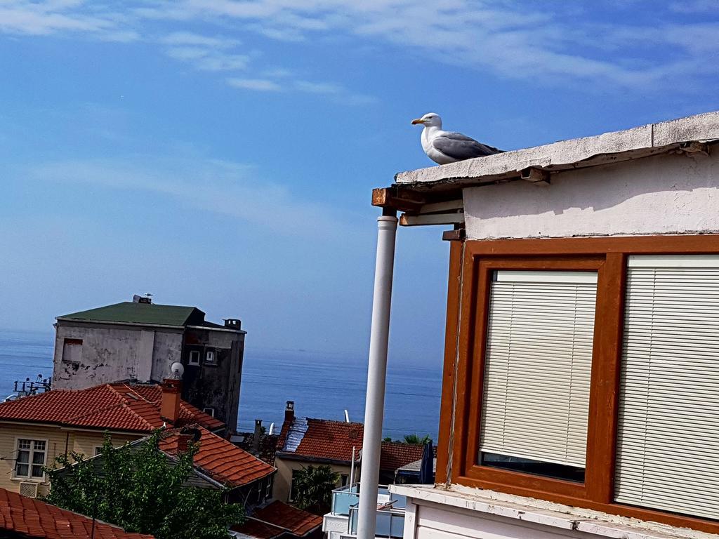 اسطنبول فندق كوبيلي بالاس المظهر الخارجي الصورة